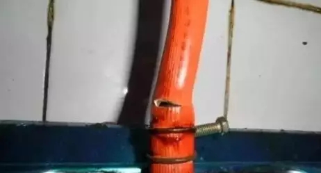 1590394165653782.jpg 640 (2).webp (1).jpg